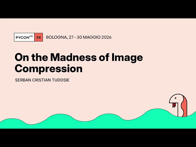 On the Madness of Image Compression - Serban Cristian Tudosie
