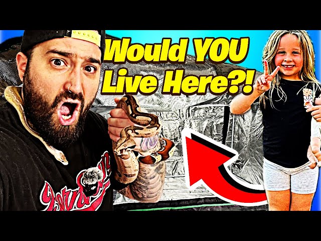 Best Budget Ball Python Enclosure Setup | How to Use a Grow Tent for Snakes