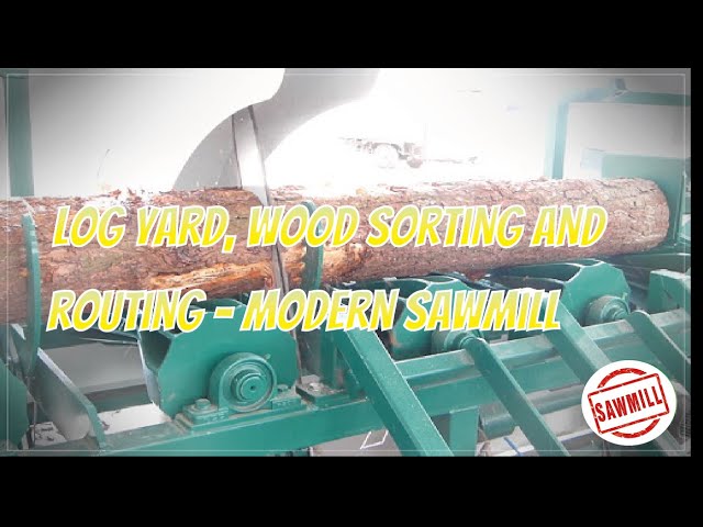 Log yard, wood sorting and routing - [ Modern sawmill ]