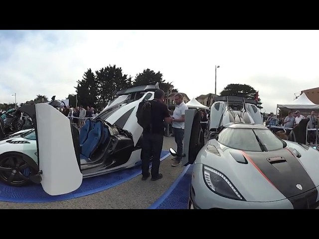 Exotics on Cannery Row 2017