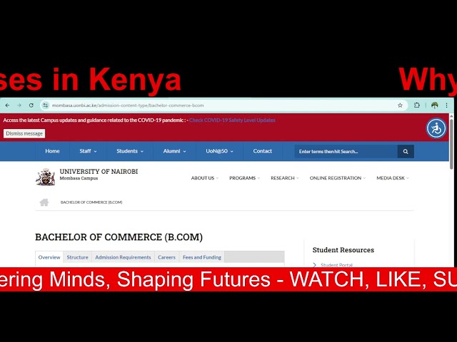 Por qué el título de Licenciatura en Comercio (BCom) es una de las carreras con mayor salida labo...