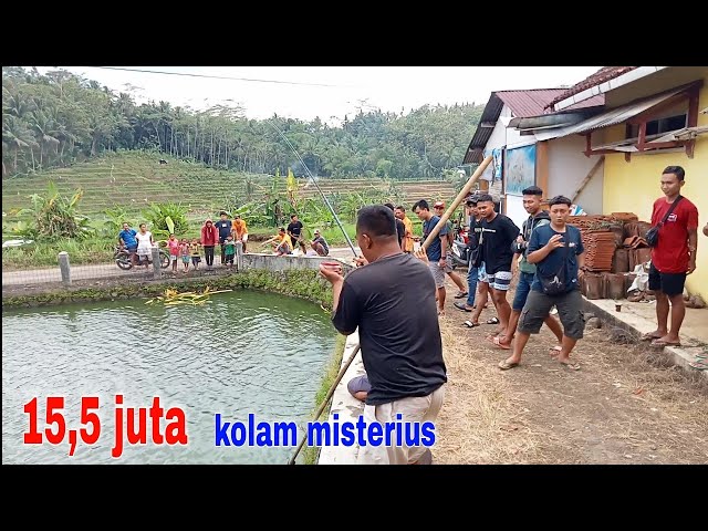 YA AMPUN....nyampe heran semua‼️ikan segede apa....