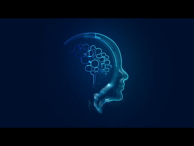 Data Brain