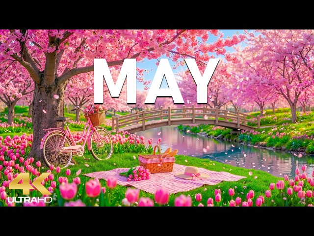 4K Beautiful Spring in May 🌸 Peaceful Blossom Landscapes with Vibrant Flowers & Relaxing Music