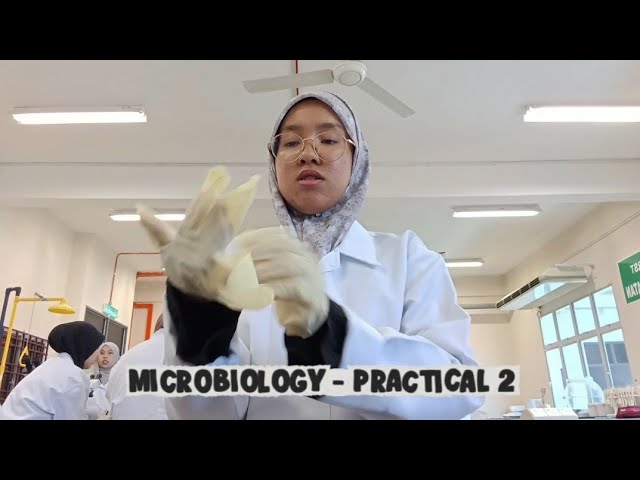 Vlog 4 - Microbiology Practical 