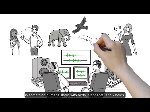 What is the Vienna Cognitive Science Hub?