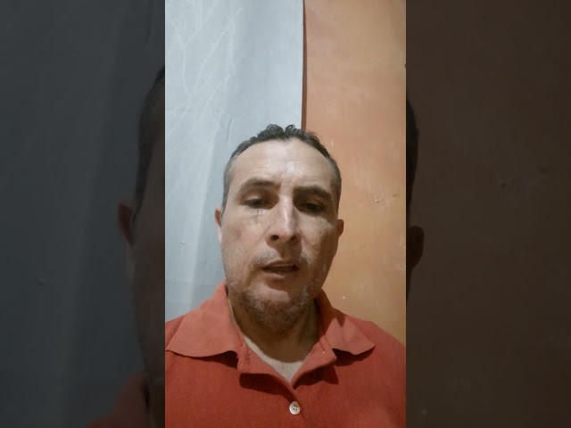 Tema: cuatro clases sociales o cuatro clases de personas para que una democracia sea perfecta