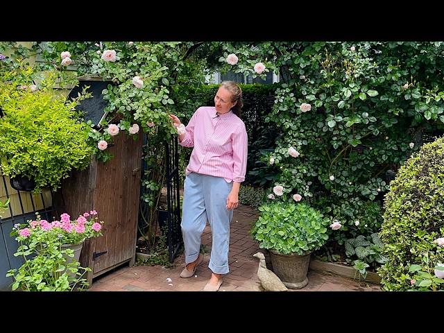 If I Cut the Top of a Main Rose Cane, Will It Grow Back Next Year?