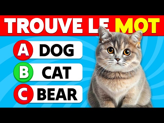 Devine 100 MOTS en ANGLAIS 🧠📚🎓 | Quiz pour Apprendre l'Anglais ✅🤓