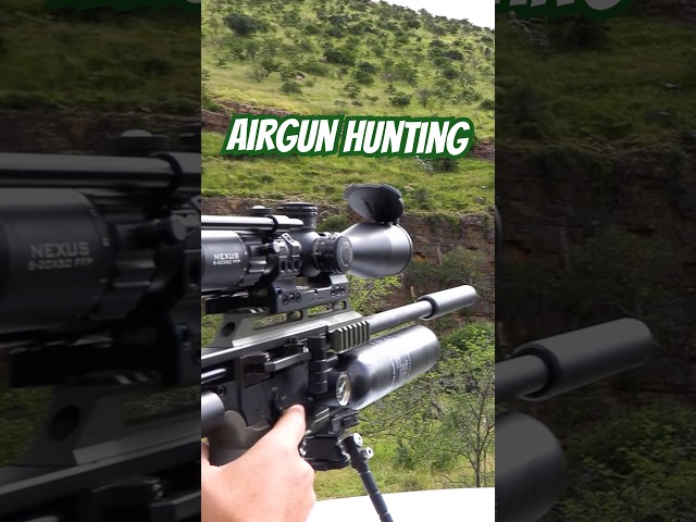 Long-Range Hunting with the FX Impact