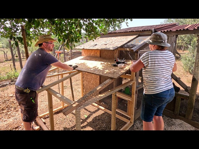 Building a Chicken Coop Extension Extension for Baby Chicks | Portugal Homestead Vlog