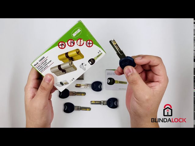AMIG 10,000 Security Cylinder