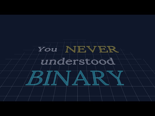 You NEVER understood BINARY