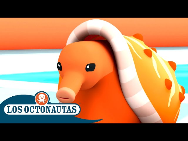 Los Octonautas - Los caracoles cónicos | Episodios Completos