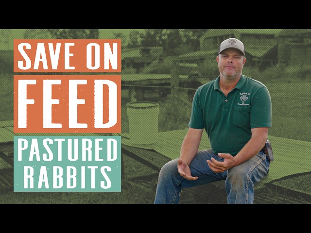 The Pastured Rabbit System that Saves Money & Builds Stronger Animals | Daniel Salatin Q&A