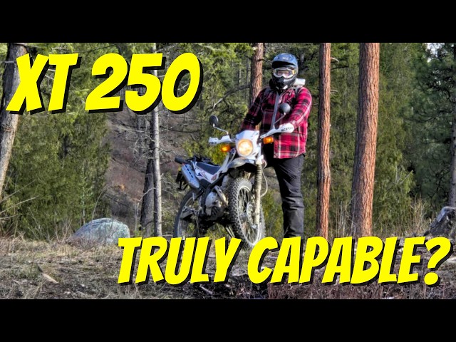 Yamaha XT 250 Review: Is This the BEST First Dual-Sport?