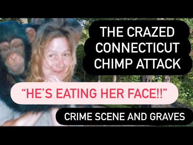THE HORRIFYING CASE OF TRAVIS THE CHIMP - Brutal Attack & The Face Transplant that Shocked the World
