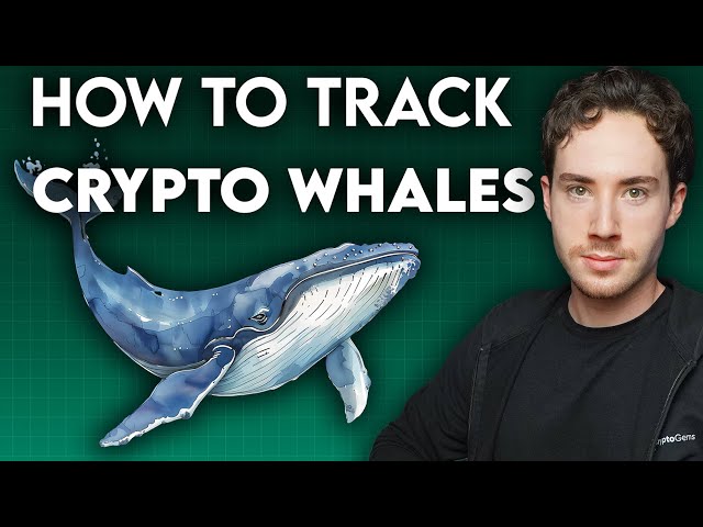 How I Track Crypto WHALE Wallets to Find Gems Early & Set Alerts