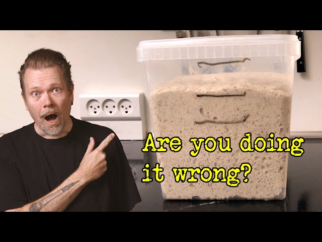 Are you fermenting sourdough bread wrong? | Fermentation Masterclass