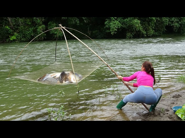 Fishing Techniques, Traditional Fishing with Bamboo and Fishing Net, Catch a Lot of Fish
