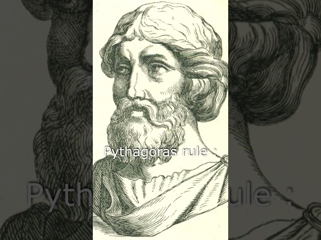 What is Normalized Function?