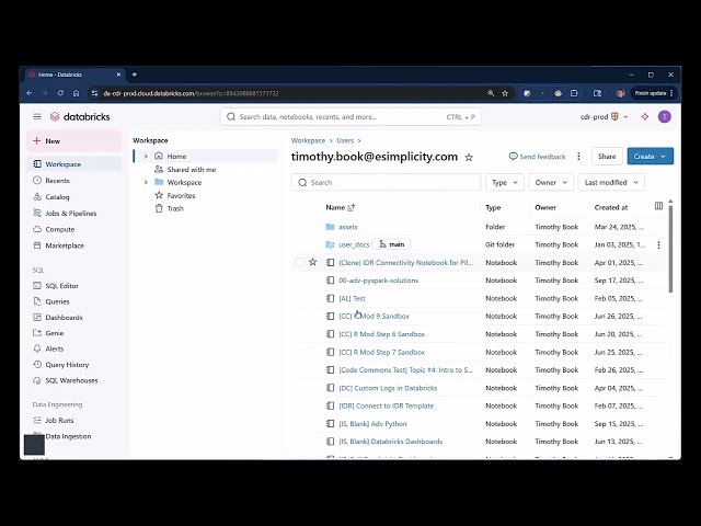 Databricks Workspace