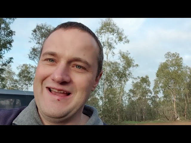 How can I get data from Heroku files storage? Where files stored?