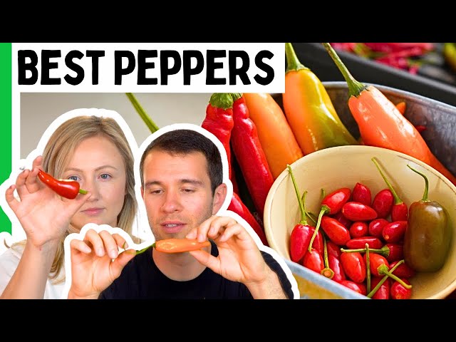 Best (And Worst) Peppers Of 2024 - Pepper Geek