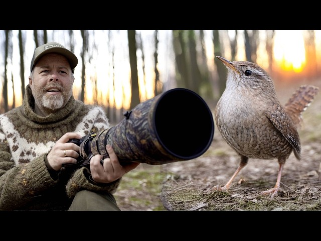 When Bird Photography Stops Being Fun