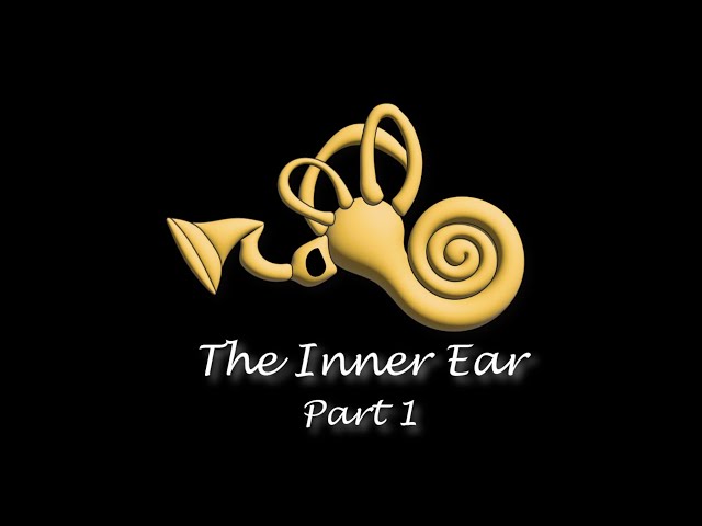 [Perception] The Hearing Series, The Inner Ear - Part1