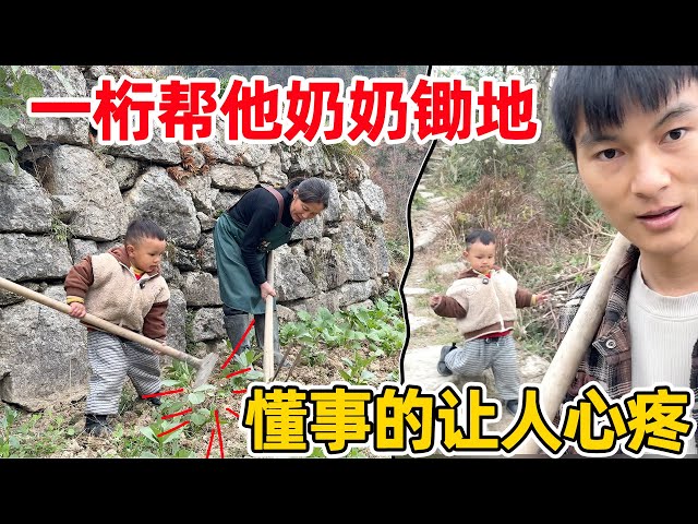 妈妈回山上了，一桁非要追着去帮忙锄地，太懂事了 把他奶奶都气笑了