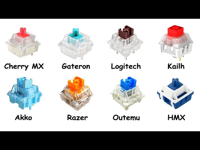 Every Keyboard Switch Explained in 14 Minutes