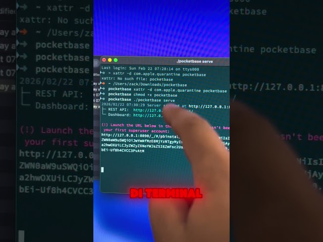 🎲PocketBase — Solusi Backend All-in-One🔄untuk Developer Modern