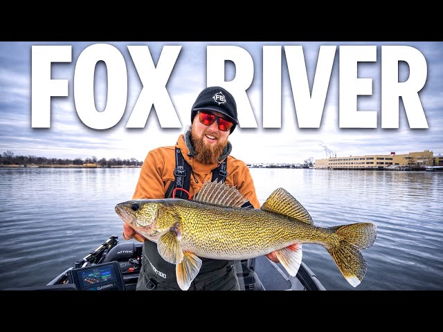 Early Spring Walleye Fishing the Fox River! (Easy Technique)