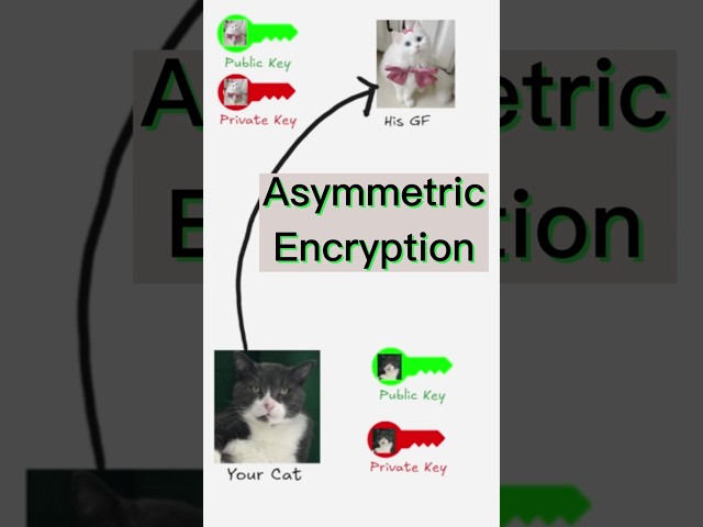 Still Don’t Know Asymmetric Encryption?🙄 | (Public Key Vs Private Key)