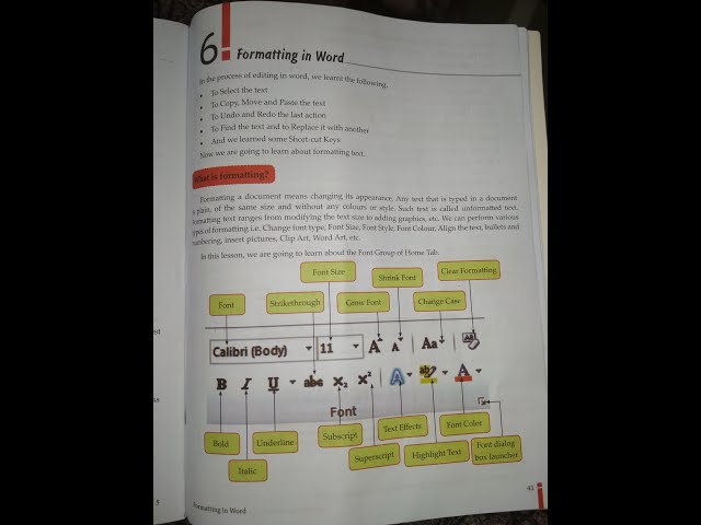 Computer std 5 lesson no 6 Formatting in Word ( Activity zone)