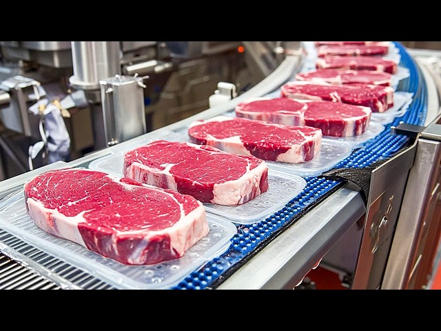 Most Satisfying Industrial Machines and Innovative Tools | Amazing Factory Technology
