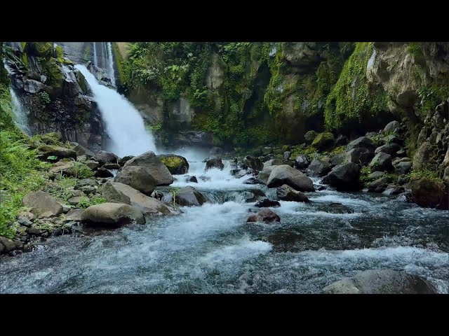 Relaxing Green Stream Flow and Forest Nature Ambience for Sleep, Deep Focus and Meditation