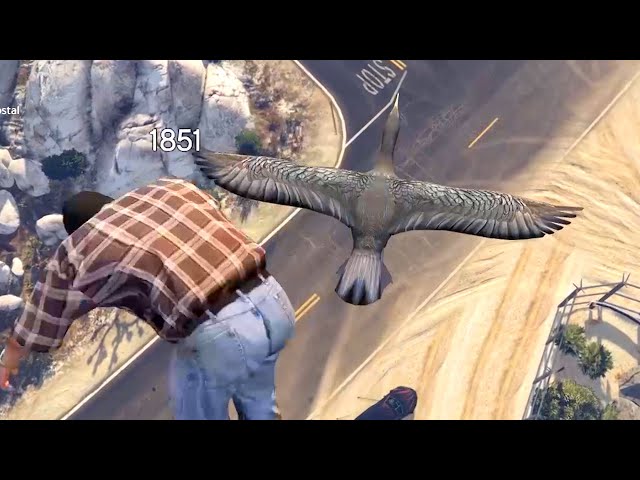 BIRD TROLLING (VOLUME WARNING) (w/ Tapperson)