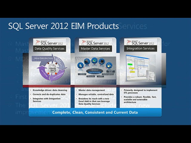 Introduction to SQL Server 2012 Master Data Services and Data Quality Services by Peter Myers