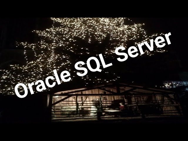 Oracle SQL Server 