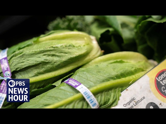 Cyclospora and salmonella outbreaks raise concerns about U.S. food safety