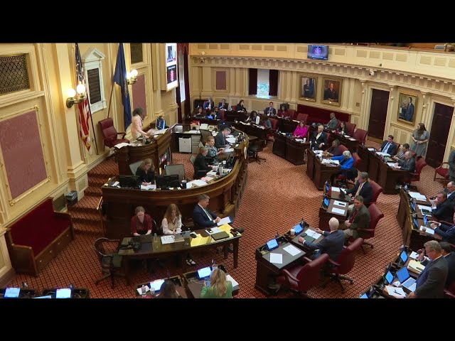 Special session continues at Virginia General Assembly