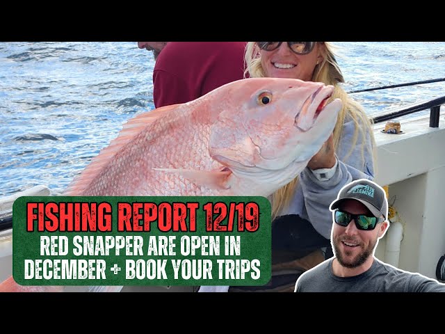 Fishing Report 12-19-2025 | Red Snapper in December! Book a Red Snapper Trip Before 12/31