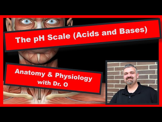 Acids, Bases, and pH:  Anatomy and Physiology
