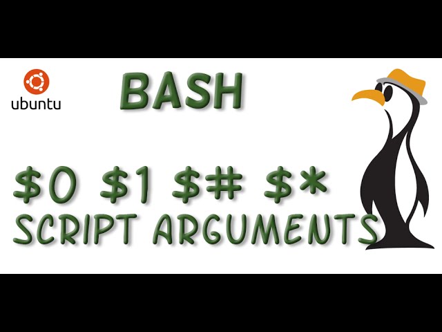 Using BASH Script Arguments