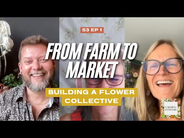 From Farm to Market - Building a Flower Collective | Farming Flowers Podcast S3 Ep1