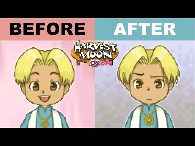 Rock Unhappy Marriage | Harvest Moon DS Cute