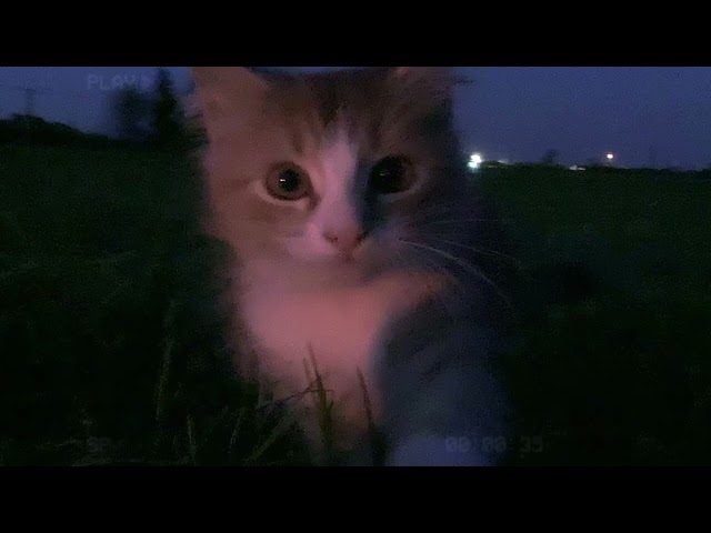 it's okay, go to sleep