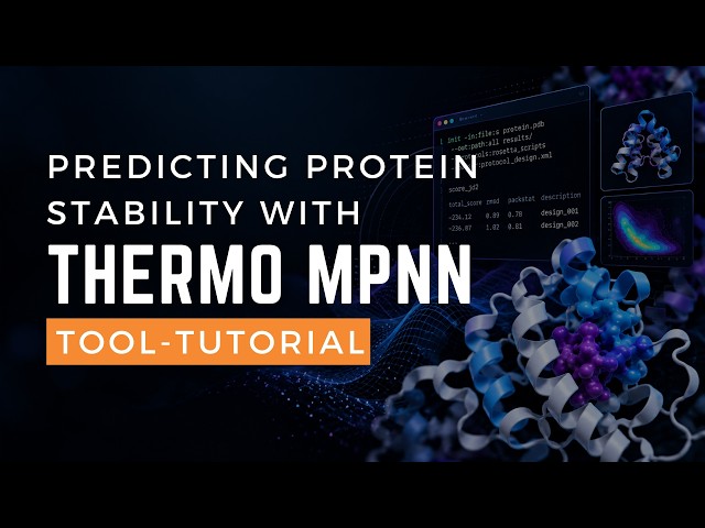 ThermoMPNN Tutorial: Finding Stabilizing Protein Mutations
